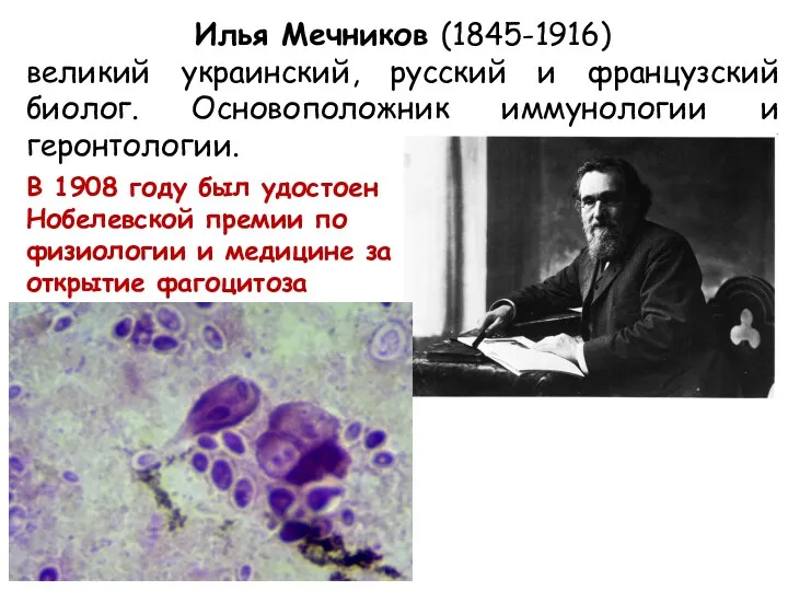 Илья Мечников (1845-1916) великий украинский, русский и французский биолог. Основоположник