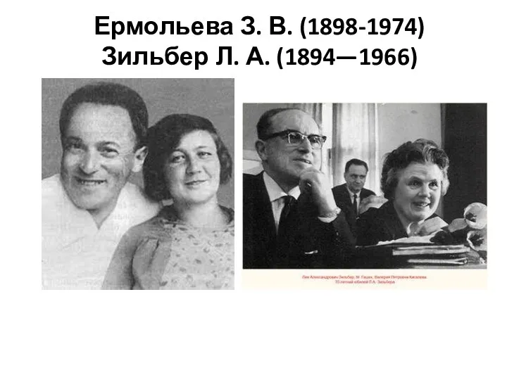 Ермольева З. В. (1898-1974) Зильбер Л. А. (1894—1966)