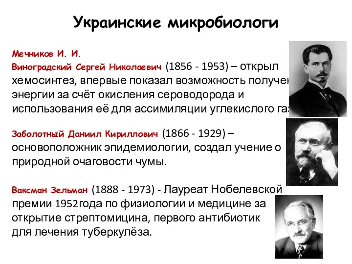 Украинские микробиологи Мечников И. И. Виноградский Сергей Николаевич (1856 -