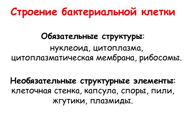 Строение бактериальной клетки Обязательные структуры: нуклеоид, цитоплазма, цитоплазматическая мембрана, рибосомы.