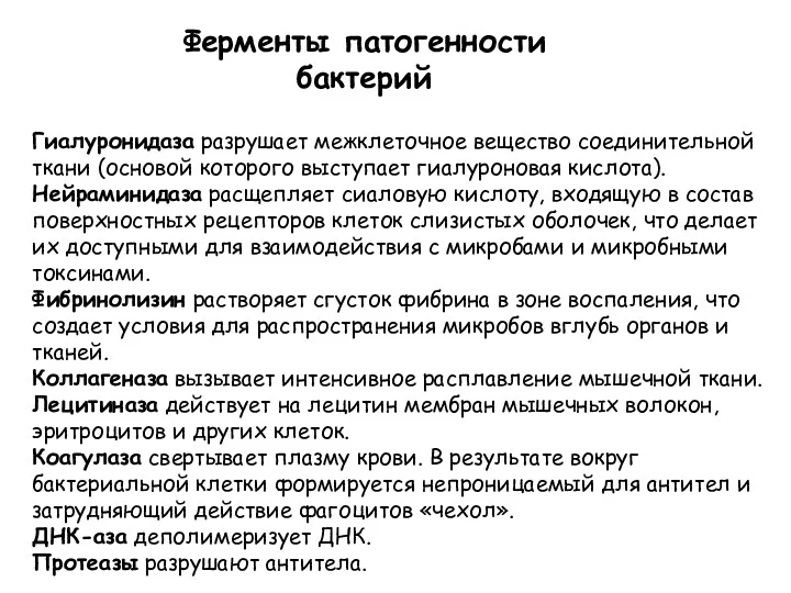 Гиалуронидаза разрушает межклеточное вещество соединительной ткани (основой которого выступает гиалуроновая