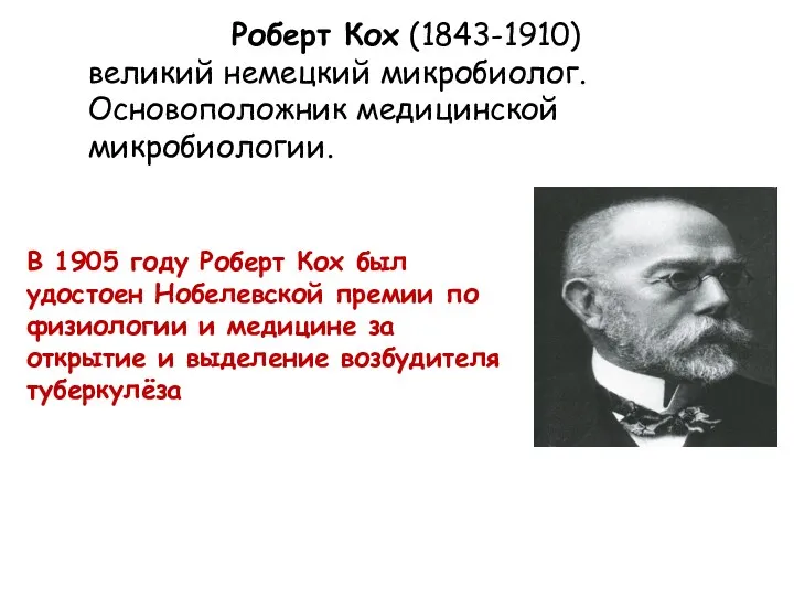 Роберт Кох (1843-1910) великий немецкий микробиолог. Основоположник медицинской микробиологии. В