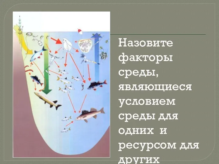 Назовите факторы среды, являющиеся условием среды для одних и ресурсом для других организмов: