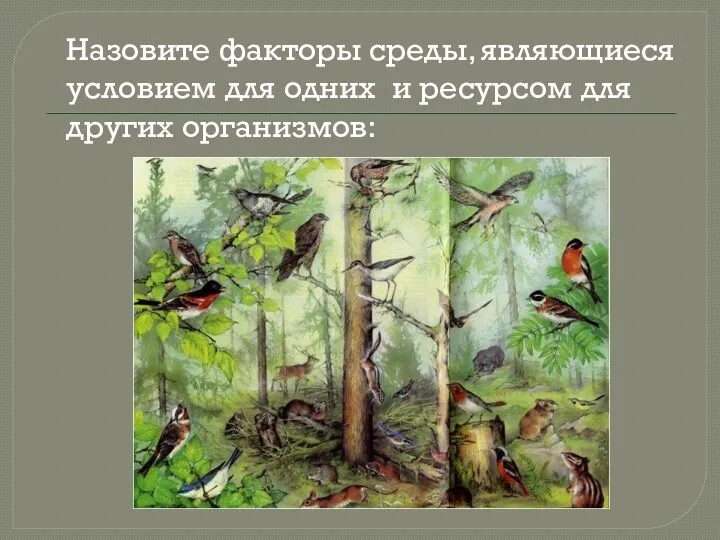 Назовите факторы среды, являющиеся условием для одних и ресурсом для других организмов: