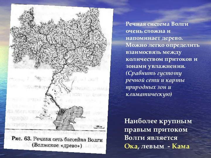 Речная система Волги очень сложна и напоминает дерево. Можно легко