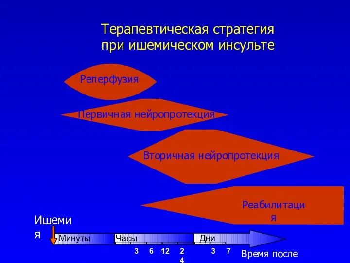 Терапевтическая стратегия при ишемическом инсульте Ишемия Реперфузия Первичная нейропротекция Вторичная нейропротекция Реабилитация