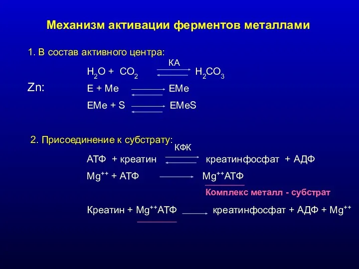 Механизм активации ферментов металлами 1. В состав активного центра: Н2О + СО2 Н2СО3