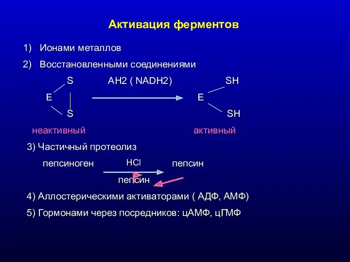 Активация ферментов Ионами металлов Восстановленными соединениями S AH2 ( NADH2)