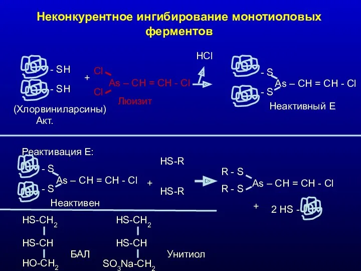 Неконкурентное ингибирование монотиоловых ферментов - SH - SH Акт. + Cl As –