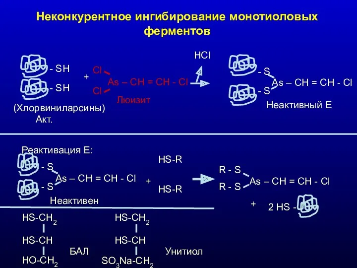 Неконкурентное ингибирование монотиоловых ферментов - SH - SH Акт. +