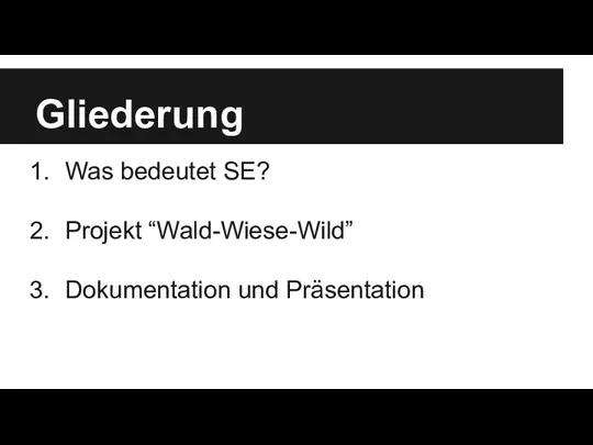 Gliederung Was bedeutet SE? Projekt “Wald-Wiese-Wild” Dokumentation und Präsentation