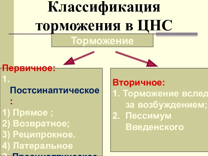 Классификация торможения в ЦНС Торможение Первичное: 1. Постсинаптическое: 1) Прямое ; 2) Возвратное;