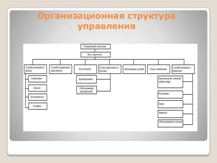 Организационная структура управления