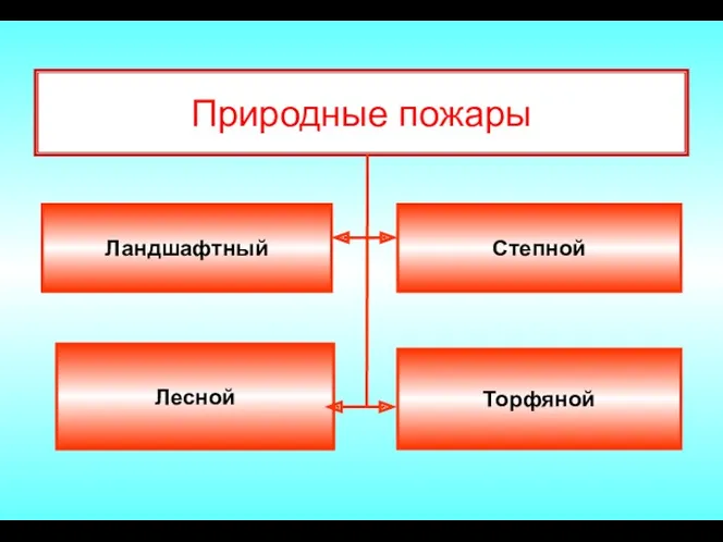 Природные пожары Ландшафтный Торфяной Степной Лесной