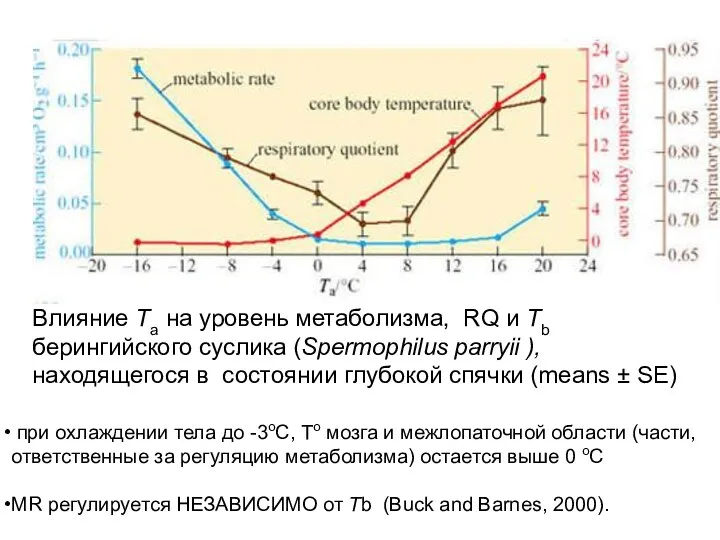 Влияние Ta на уровень метаболизма, RQ и Tb берингийского суслика