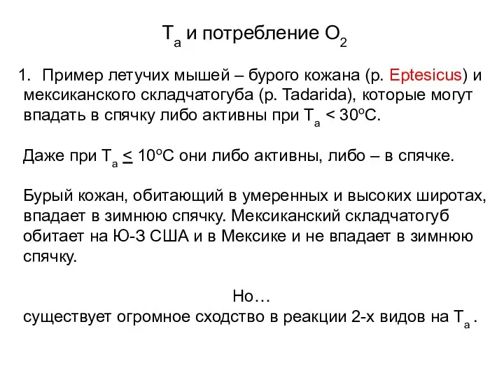 Та и потребление О2 Пример летучих мышей – бурого кожана