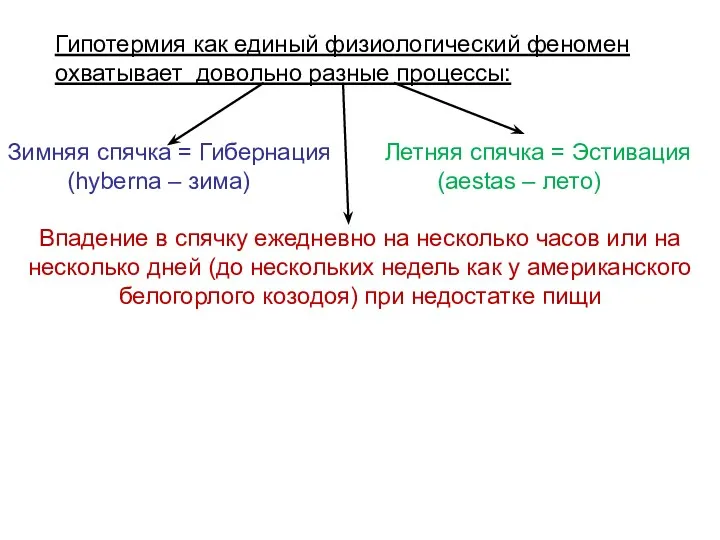 Зимняя спячка = Гибернация Летняя спячка = Эстивация (hyberna –