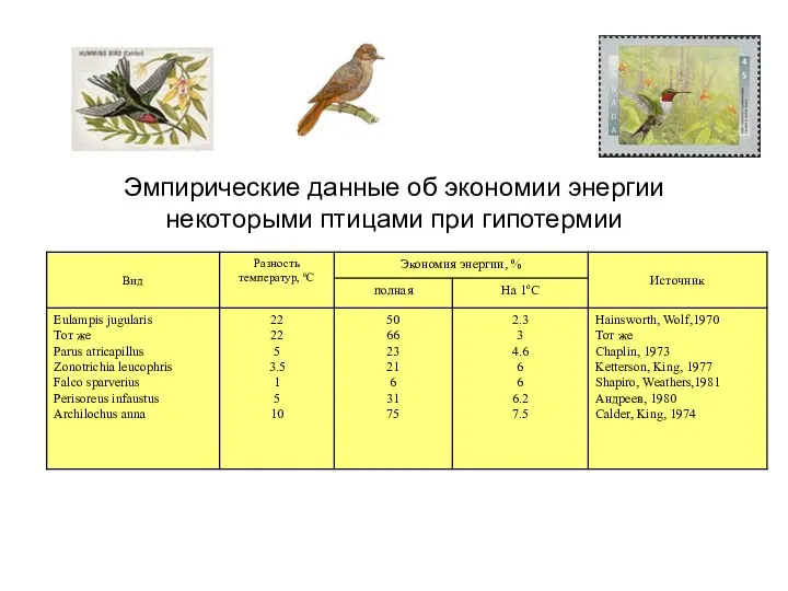 Эмпирические данные об экономии энергии некоторыми птицами при гипотермии