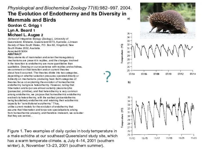 Physiological and Biochemical Zoology 77(6):982–997. 2004. The Evolution of Endothermy