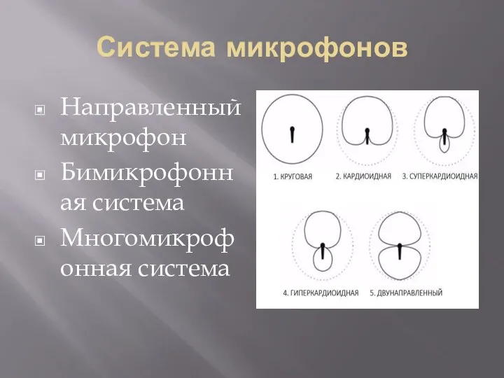 Система микрофонов Направленный микрофон Бимикрофонная система Многомикрофонная система