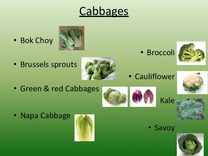 Cabbages Bok Choy Broccoli Brussels sprouts Cauliflower Green & red Cabbages Kale Napa Cabbage Savoy