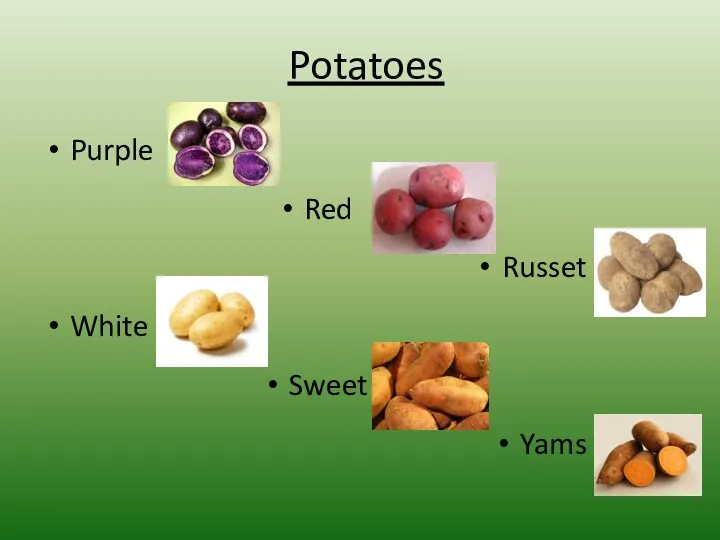 Potatoes Purple Red Russet White Sweet Yams