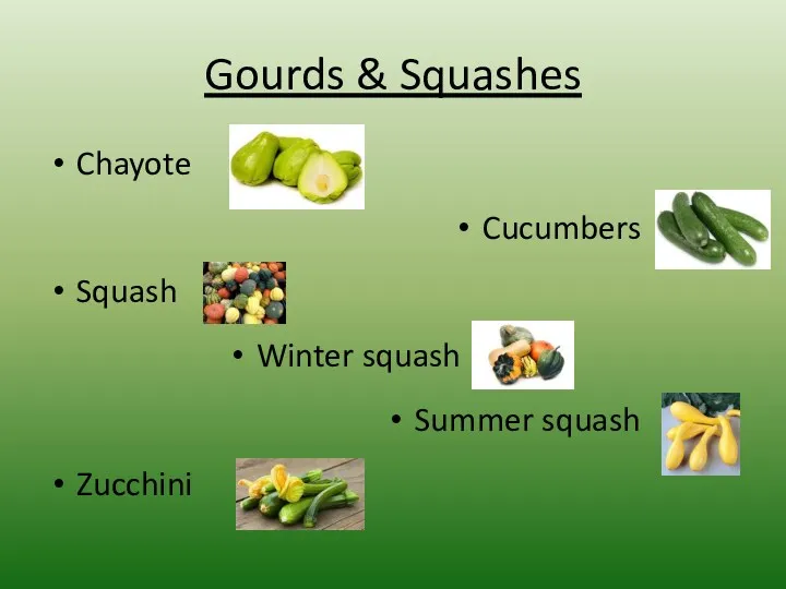 Gourds & Squashes Chayote Cucumbers Squash Winter squash Summer squash Zucchini