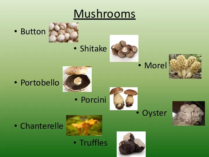 Mushrooms Button Shitake Morel Portobello Porcini Oyster Chanterelle Truffles