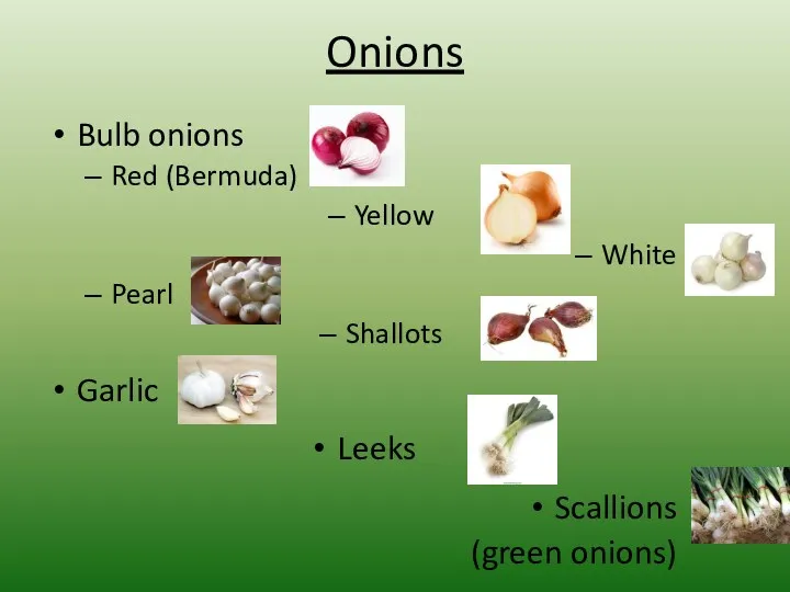 Onions Bulb onions Red (Bermuda) Yellow White Pearl Shallots Garlic Leeks Scallions (green onions)