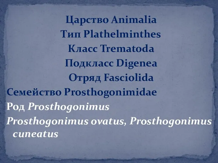 Царство Animalia Тип Plathelminthes Класс Trematoda Подкласс Digenea Отряд Fasciolida