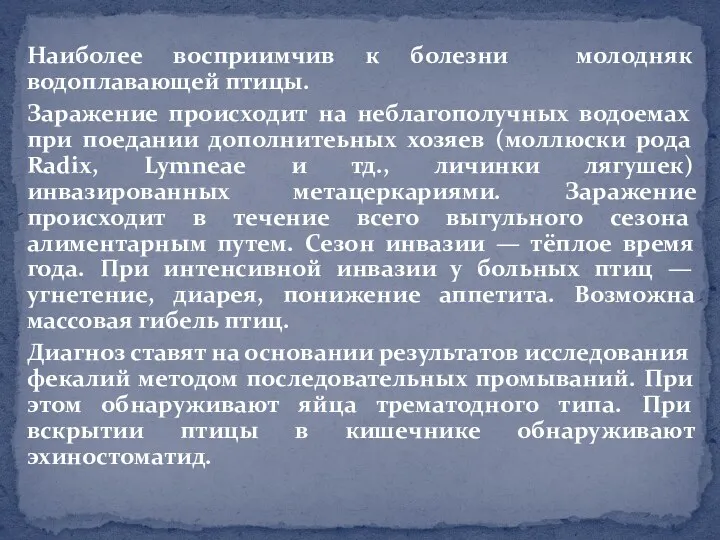 Наиболее восприимчив к болезни молодняк водоплавающей птицы. Заражение происходит на