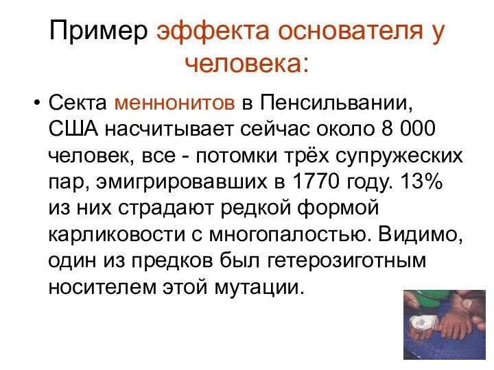 Пример эффекта основателя у человека: Секта меннонитов в Пенсильвании, США