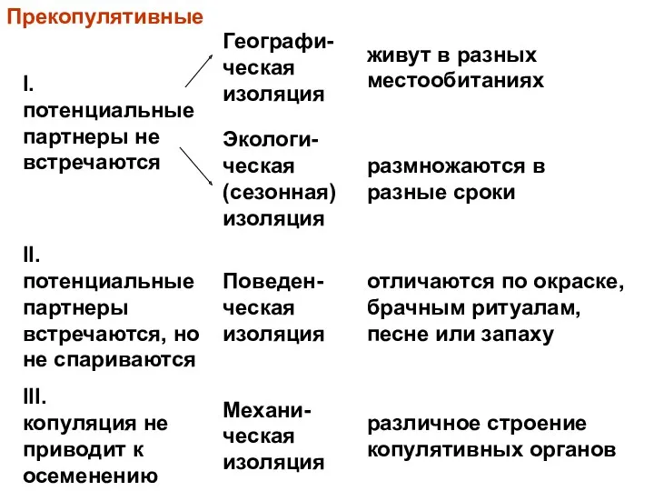 Прекопулятивные