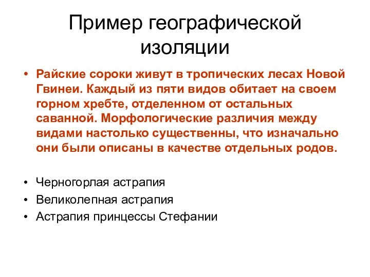 Пример географической изоляции Райские сороки живут в тропических лесах Новой