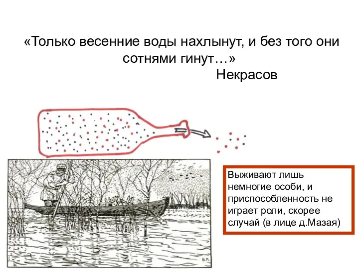 «Только весенние воды нахлынут, и без того они сотнями гинут…»