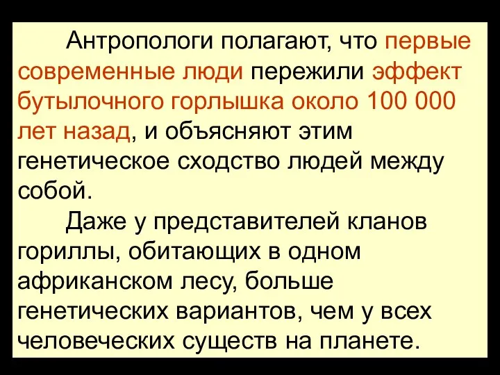 Антропологи полагают, что первые современные люди пережили эффект бутылочного горлышка