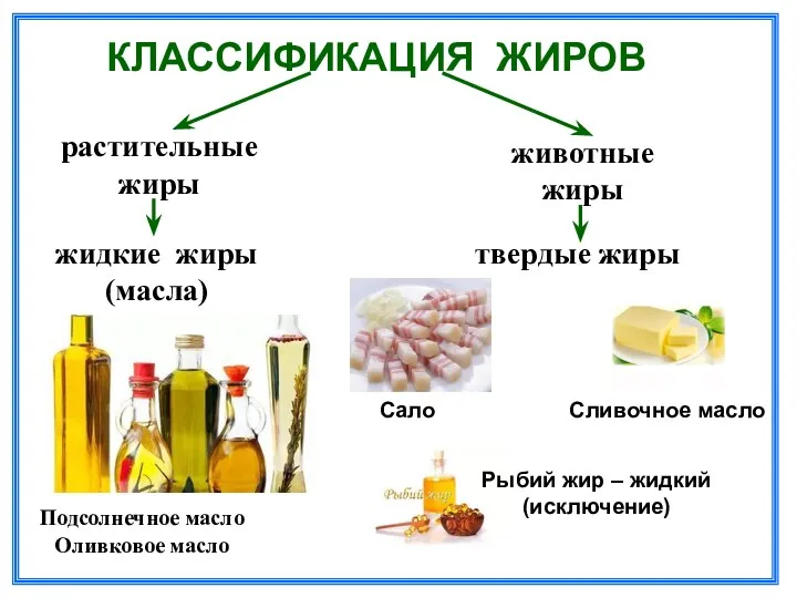 КЛАССИФИКАЦИЯ ЖИРОВ растительные жиры жидкие жиры (масла) Подсолнечное масло Оливковое