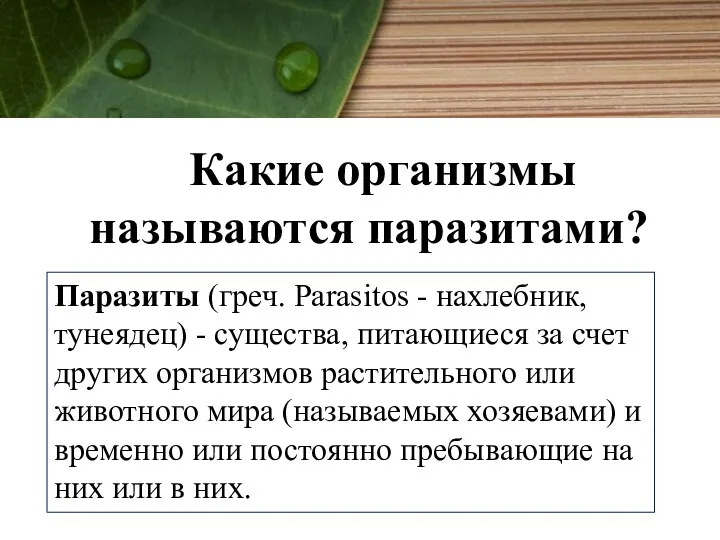 Какие организмы называются паразитами? Паразиты (греч. Parasitos - нахлебник, тунеядец)