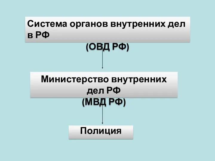 Система органов внутренних дел в РФ (ОВД РФ) Министерство внутренних дел РФ (МВД РФ) Полиция