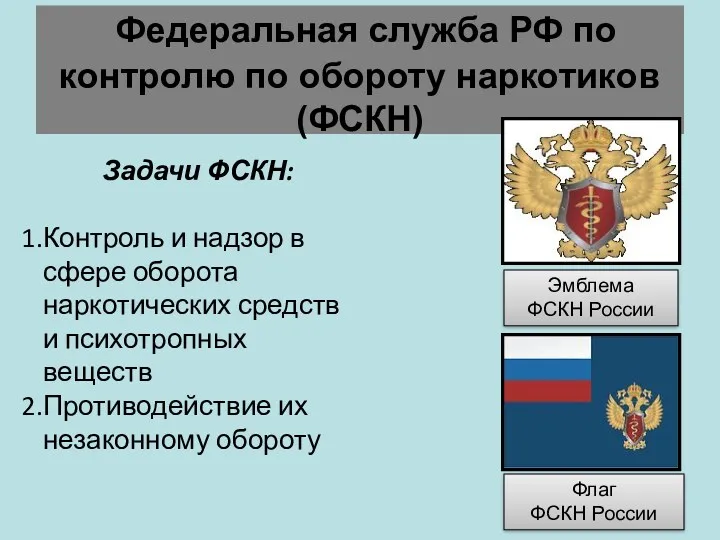 Федеральная служба РФ по контролю по обороту наркотиков (ФСКН) Эмблема