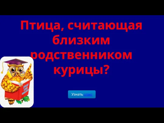 Птица, считающая близким родственником курицы?