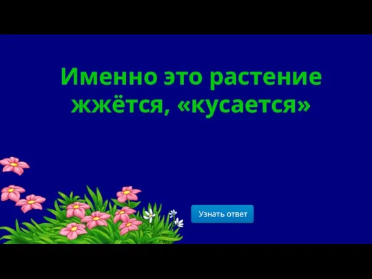 Именно это растение жжётся, «кусается»