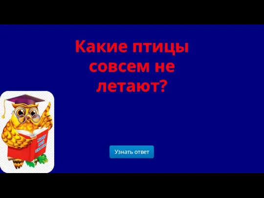 Какие птицы совсем не летают?