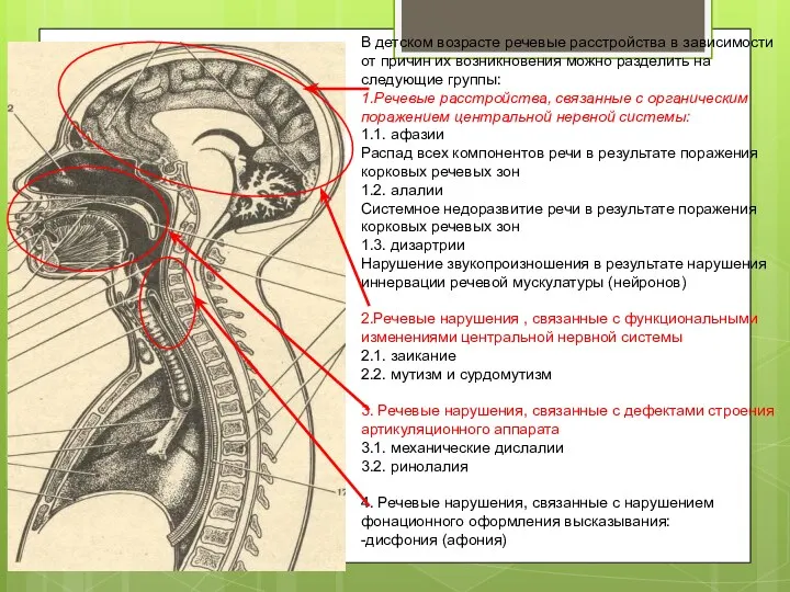 В детском возрасте речевые расстройства в зависимости от причин их