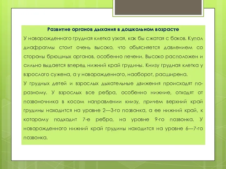 Развитие органов дыхания в дошкольном возрасте У новорожденного грудная клетка