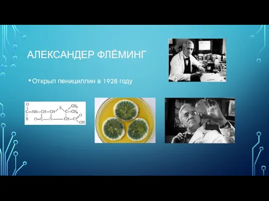 АЛЕКСАНДЕР ФЛЁМИНГ Открыл пенициллин в 1928 году