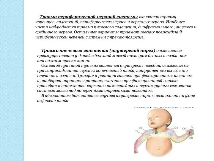 Травма периферической нервной системы включает травму корешков, сплетений, периферических нервов