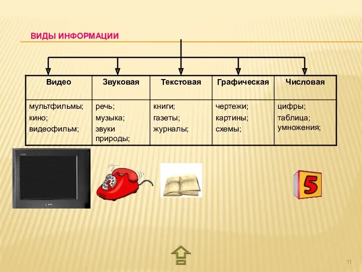 ВИДЫ ИНФОРМАЦИИ