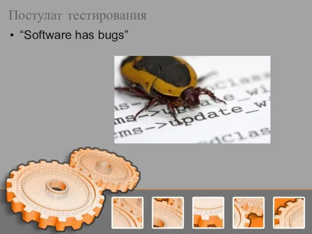 Постулат тестирования “Software has bugs”