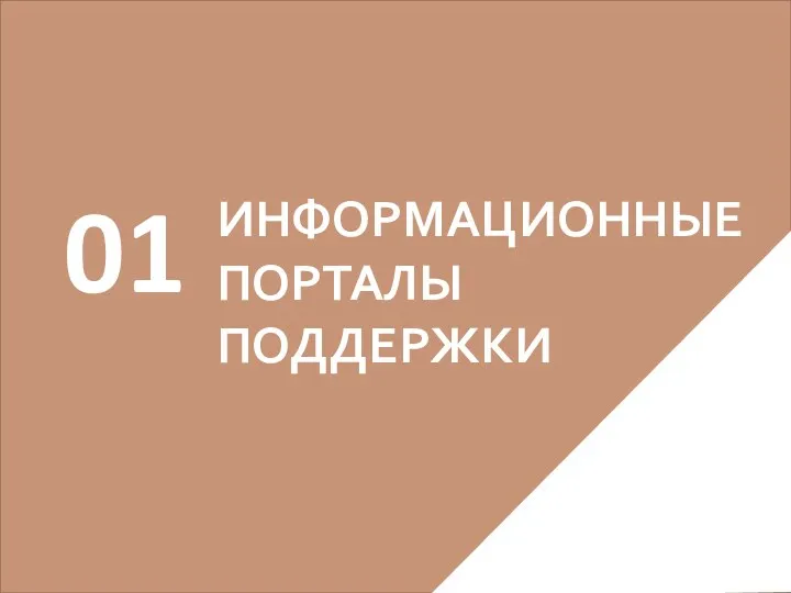 ИНФОРМАЦИОННЫЕ ПОРТАЛЫ ПОДДЕРЖКИ 01